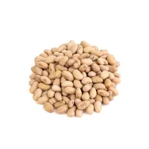 سویا بوداده