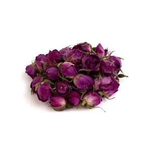 غنچه گل محمدی