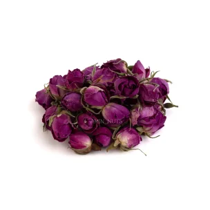 غنچه گل محمدی