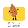 بادام درختی