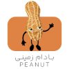 بادام زمینی