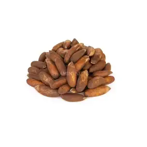 چلغوز