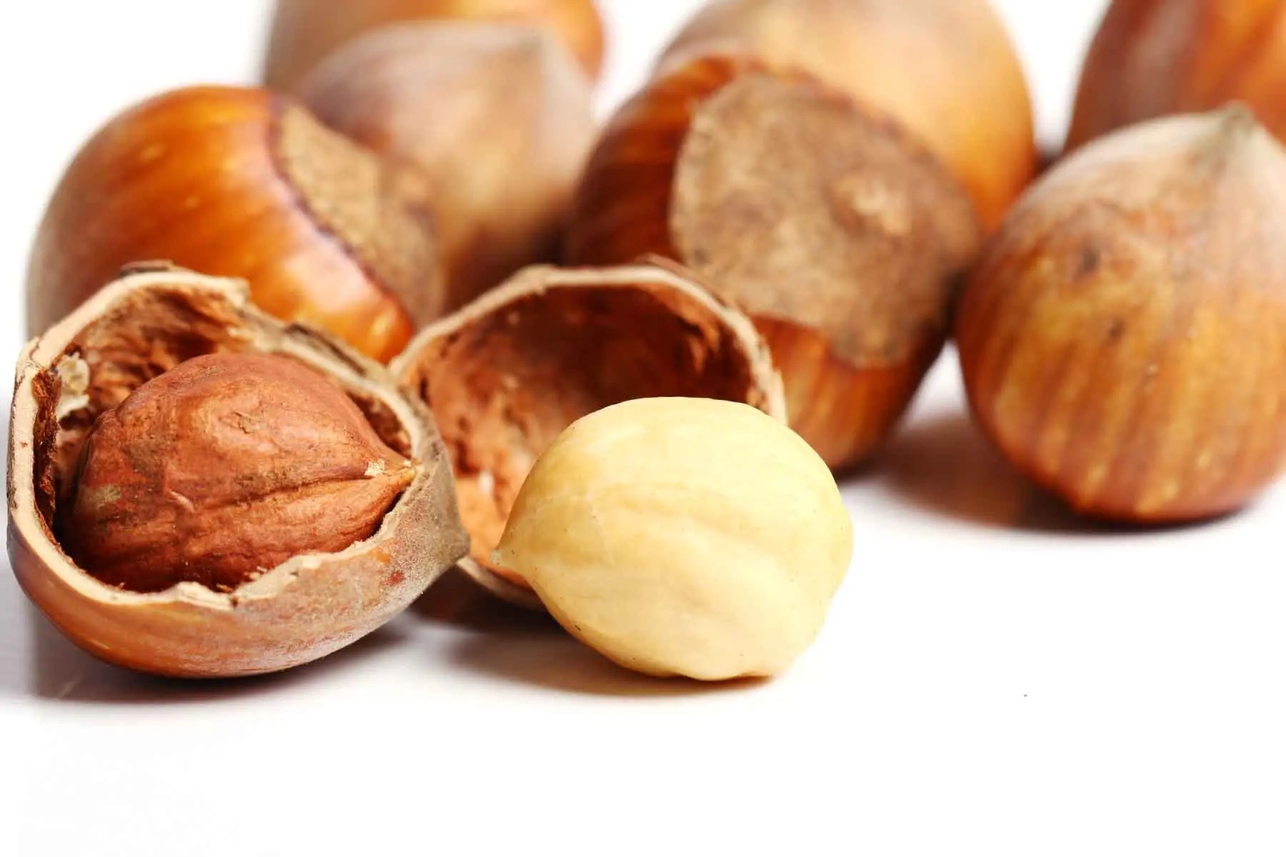 خواص فندق؛ +9 خاصیت شگفت انگیز برای بدن + ارزش غذایی