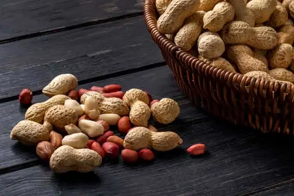 طبع بادام زمینی چیست؟ آیا با مزاج من سازگار است؟