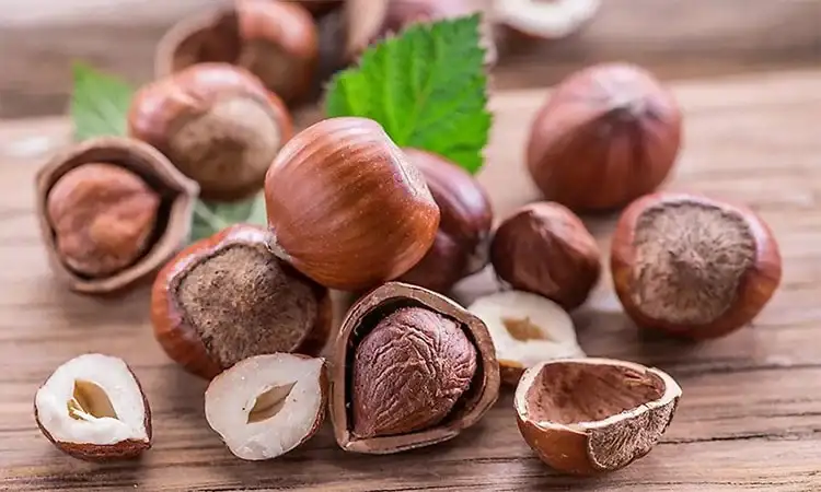 خواص فندق برای چاقی چیست؟