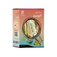 بسته ترکیبی‌ کاپوچینو پپتینا – 10ساشه