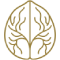 گردو